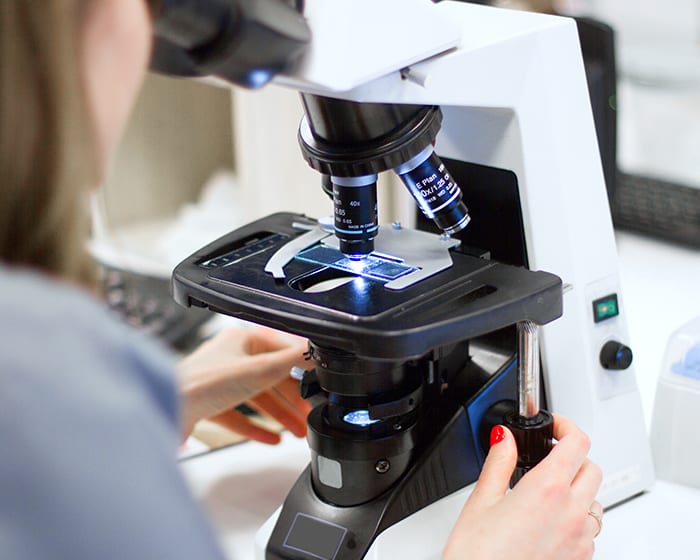 Diagnostic & Vet Lab Technology, Boulder Vet